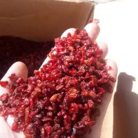 زرشک عالی و قیمت مناسب