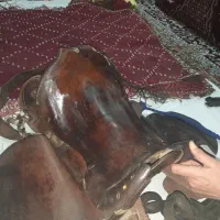 زین روسی اسب همراه با تمام لوازم اسب سواری