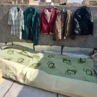 حاجی موکت پالتو