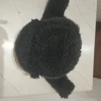 کلاه پشمی زمستانی خان|لباس|اردبیل, |دیوار