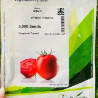 انواع بذر و نشاء گوجه، خیار، هندوانه و