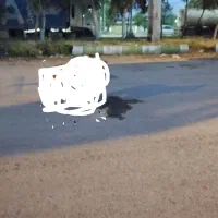 گاراژ100متری بلواررشیدی(جاده سدز) کرایه ورهن