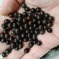 دانه یسر برای درست کردن  (تسبیح یسر )|جواهرات|رشت, معلم|دیوار
