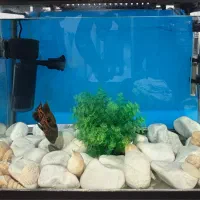 آکواریوم شیشه خم