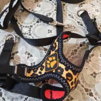 قلاده سگ پاکوتاه