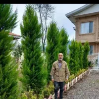 خدمات باغبانی ودرخت کاری کودهی هرسکاری تمام پردیس