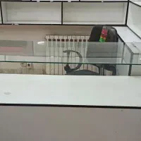 قفسه|بوفه، ویترین، کنسول|قروه, |دیوار