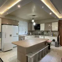تور شبمانی شاد به همراه تهرانگردی