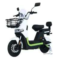 موتور سه چرخ برقی