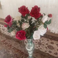 گلهای خارجی با گلدان در حد نونو