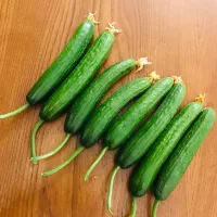 خیار گلخانه ای عمده مستقیم از باغ|خوردنی و آشامیدنی|تهران, هروی|دیوار
