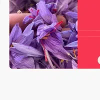 خرید و فروش زعفران و مذاکره از طرف شما