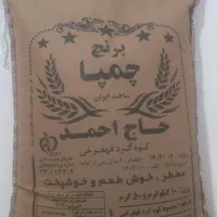 برنج چمپا و عنبربو حاج احمد