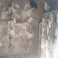 کبوتر|پرنده|همایجان, |دیوار