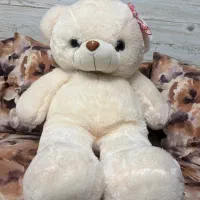 تعدادی عروسک