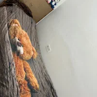 تخت وکمد و ایینه قدی|تخت و سرویس خواب|مشهد, چهارچشمه|دیوار