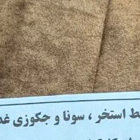 بلیط استخر غدیر رامهرمز