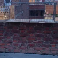 یک قفس بزرگ همراه با پنج تا لانه مرغ عشق