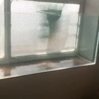 اکواریوم  سایز بزرگ