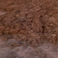 کودگاوی خشک|حراج|قزوین, |دیوار