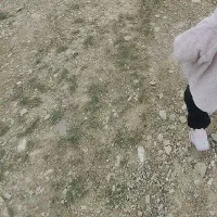 زمین مسکونی