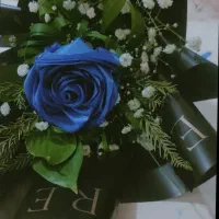 گل.|گل مصنوعی|ایذه, |دیوار