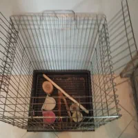 قفس نو|لوازم جانبی حیوانات|تهران, استاد معین|دیوار