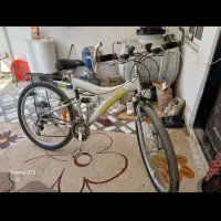 دوچرخه حرفه ای