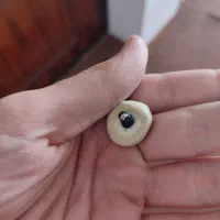 مهره قدیمی (خ.رمهره)|کلکسیون اشیاء عتیقه|لردگان, |دیوار