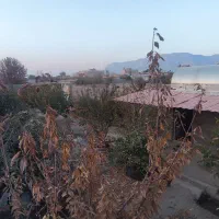 باغ محدوده پیربکران|فروش خانه و ویلا|پیر بکران, |دیوار