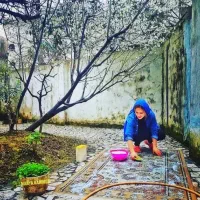 قالیشویی گلزارتمام نقاط تهران حتی تعطیلات