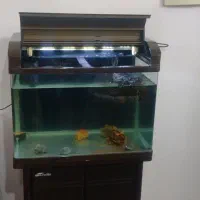 آکواریوم شرکتی با میز