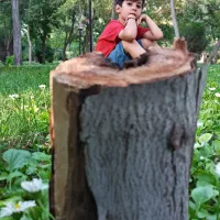 خدمات روتوش و ویرایش عکس و تایپ و...