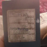 پاسپورت گمشده