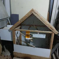 قفس تمام چوب|لوازم جانبی حیوانات|گرگان, |دیوار