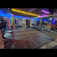 رینگ بوکس ، کیسه بوکس