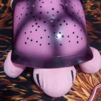 وسایل اتاق کودک|اسباب و اثاث بچه|کرمانشاه, |دیوار