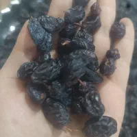 کشمش و مویز