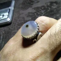 شجر بوته|جواهرات|مهاباد (آذربایجان غربی), |دیوار