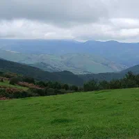 یکنفر مهندس باسابقه جهت رتبه بندی