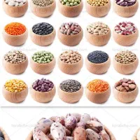 برنج وحبوبات|عمده‌فروشی|ابریشم, |دیوار