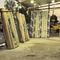 فرش نو به قیمت درب کارخانه|فرش|زاهدان, |دیوار