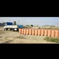 خوراک دام یونجه خرمنکوب زده شده