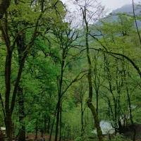 زمین کشاورزی