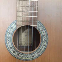 گیتار Parsi M5