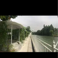 برنامه های شاد