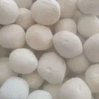 کشک گاوی