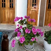 استخدام نیرو همراه با جای خواب و بیمه