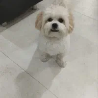 گمشده تو محدوده سجاد ساعت 10 صبح