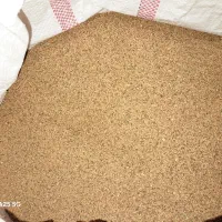 بذر یونجه درجه یک